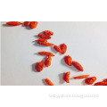 /msite/products/detail/productid/56948705/id/645581.html